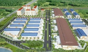 Ảnh minh họa (nguồn: Internet).