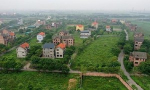 Ảnh minh họa từ internet.