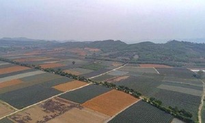TTCP chỉ ra hàng loạt sai phạm trong việc quản lý, sử dụng đất có nguồn gốc từ nông, lâm trường tại tỉnh Ninh Bình (Ảnh: Vietnam+)