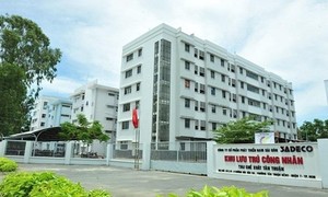 Ảnh minh họa từ internet.
