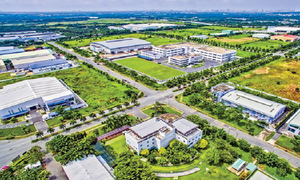 Ảnh minh họa từ internet.
