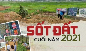 Ảnh minh họa từ internet.
