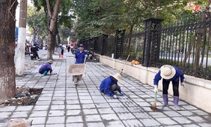 Ảnh minh họa từ internet.