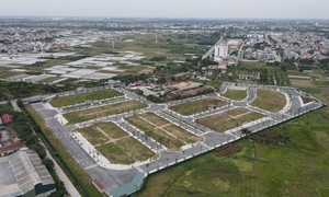 Ảnh minh họa từ internet.