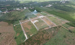 Tình trạng phân lô bán nền trên địa bàn Lâm Đồng diễn ra phức tạp trong thời gian qua.