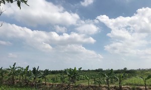 Đất nông nghiệp nằm trong Dự án Khu đô thị mới Thạch Khôi chưa hoàn thành bồi thường, GPMB, cò đất đã rao bán