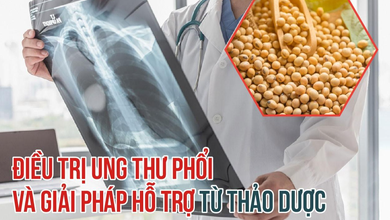 Điều trị ung thư phổi và giải pháp nâng cao hiệu quả từ thảo dược