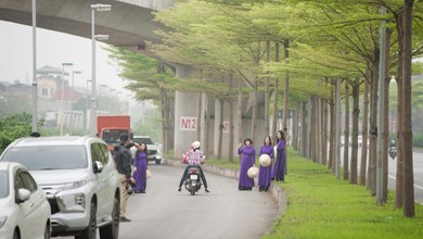 Đùa giỡn tử thần, đứng giữa đường để chụp ảnh cùng hàng cây bàng Đài Loan