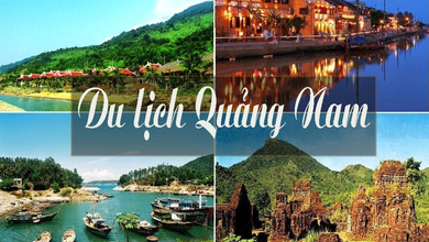 Quảng Bình, Quảng Trị, Thừa Thiên Huế, Quảng Nam, Đà Nẵng tung tour hút khách