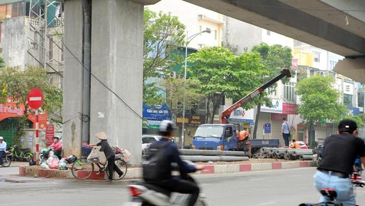 Trồng cây xanh dưới hạ tầng đường sắt đô thị Cát Linh - Hà Đông
