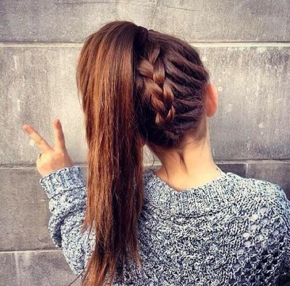 tóc đuôi ngựa 9 tóc đuôi ngựa 9