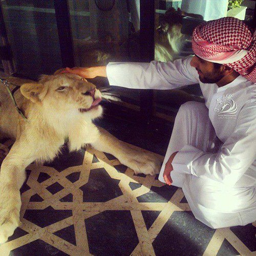 Thú vui chơi xa xỉ của Thái tử đẹp trai nhất Dubai Thú vui chơi xa xỉ của Thái tử đẹp trai nhất Dubai