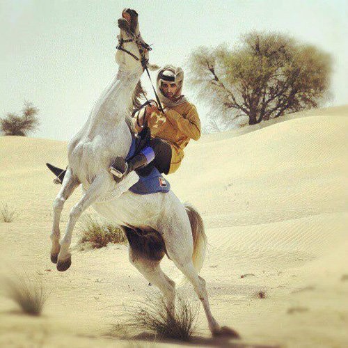Thú vui chơi xa xỉ của Thái tử đẹp trai nhất Dubai Thú vui chơi xa xỉ của Thái tử đẹp trai nhất Dubai