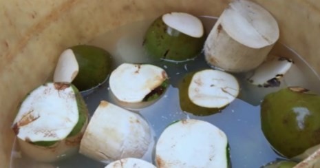 thực phẩm bẩn, thịt lợn, thịt gà, bánh mì, trứng gà, nông sản ế ẩm, cà phê, trà sữa thực phẩm bẩn, thịt lợn, thịt gà, bánh mì, trứng gà, nông sản ế ẩm, cà phê, trà sữa