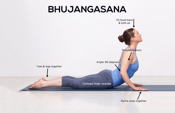 triet-tieu-mo-bung-lau-nam-voi-3-dong-tac-yoga-ai-cung-co-the-tap