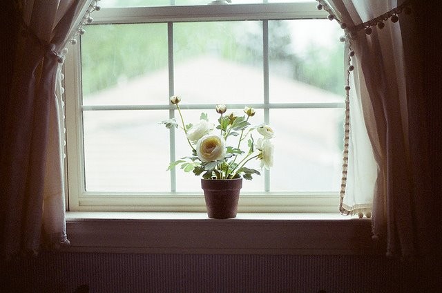 {title} Hôn nhân,Vợ chồng