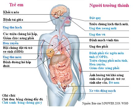 Các bệnh do hút thuốc thụ động. Nguồn: Tổ chức Y tế Thế giới.