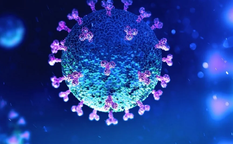 who khẳng định virus sars-cov-2 "có nguồn gốc tự nhiên" hình 1 who khang dinh virus sars-cov-2 "co nguon goc tu nhien" hinh 1