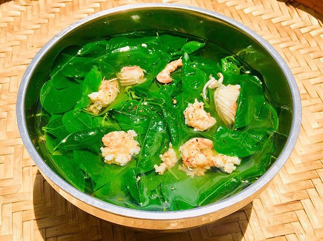 Rau ngót: Cực tốt và cực độc, biết mà tránh khi ăn kẻo rước họa vào thân - ảnh 1