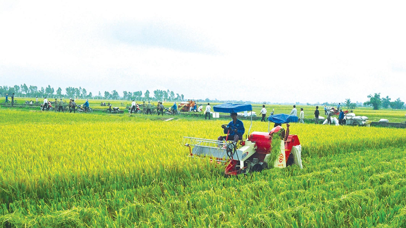 Việt Nam đạt được thành tựu nổi bật trong xóa đói giảm nghèo.