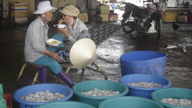 Những “bóng hồng” mưu sinh bên cảng cá