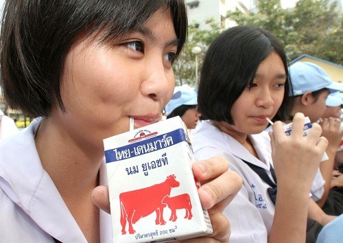 Chương trình sữa học đường ở Thái Lan góp phầngiúp tiêu thụ sản phẩm sữa địa phương. Ảnh: Bangkok Post
