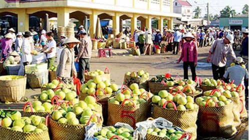 Nông sản xuất khẩu sang Trung Quốc gặp khó do chính người dân và doanh nghiệp thờ ơ trước các quy định nhập khẩu mới. (Ảnh minh họa)