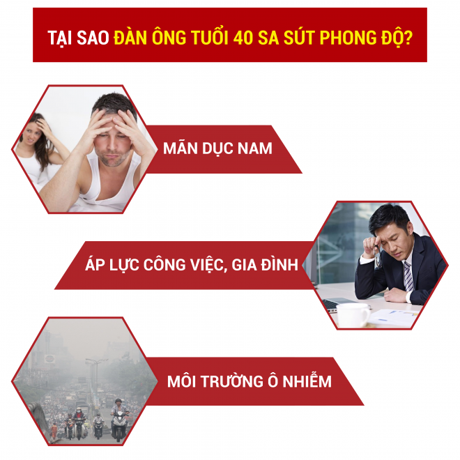 Phong độ đỉnh cao - đón chào Canh Tý - Ảnh 1
