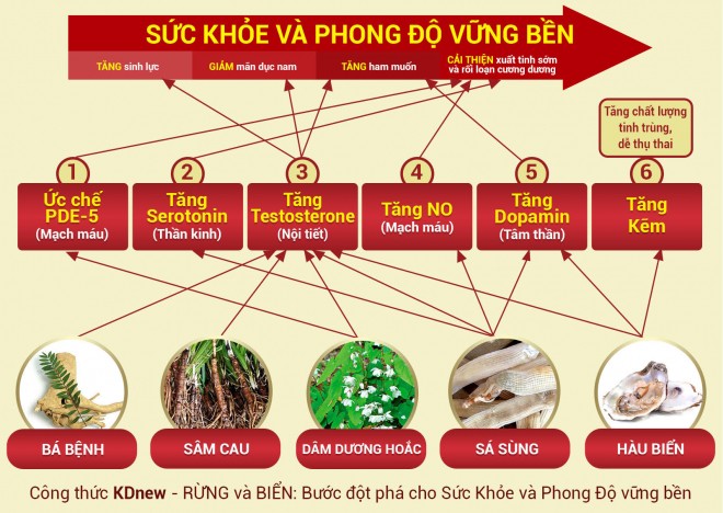 Phong độ đỉnh cao - đón chào Canh Tý - Ảnh 2