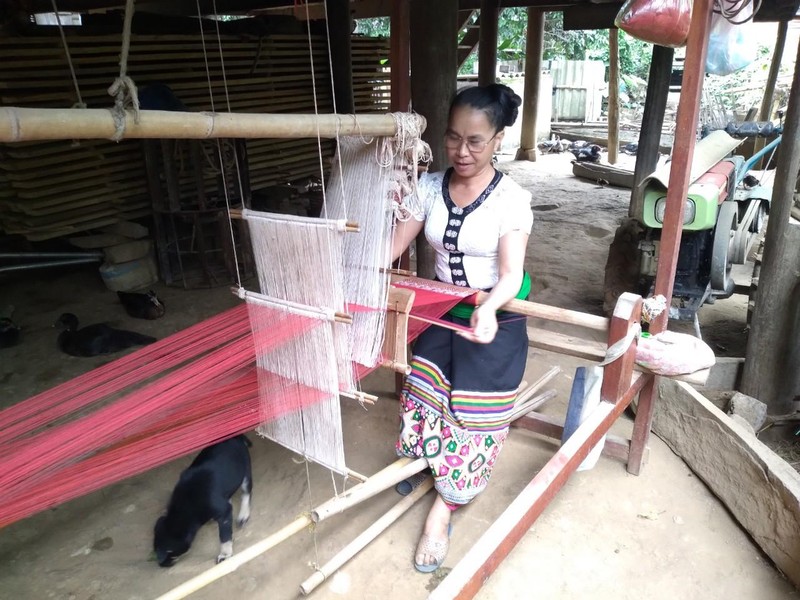 Nhờ vốn chính sách, nhiều gia đình ở huyện miền núi Quế Phong (Nghệ An) đã vươn lên thoát nghèo.
