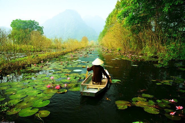Hàng triệu người sững sờ sau khi báo Tây chia sẻ loạt ảnh Việt Nam đẹp mê hồn hình ảnh 11 hang trieu nguoi sung so sau khi bao tay chia se loat anh viet nam dep me hon hinh anh 11