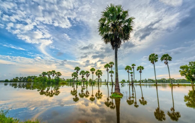 Hàng triệu người sững sờ sau khi báo Tây chia sẻ loạt ảnh Việt Nam đẹp mê hồn hình ảnh 1 hang trieu nguoi sung so sau khi bao tay chia se loat anh viet nam dep me hon hinh anh 1