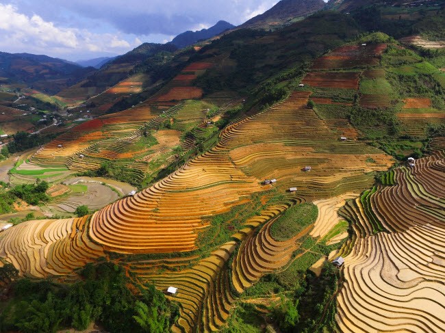 Hàng triệu người sững sờ sau khi báo Tây chia sẻ loạt ảnh Việt Nam đẹp mê hồn hình ảnh 17 hang trieu nguoi sung so sau khi bao tay chia se loat anh viet nam dep me hon hinh anh 17