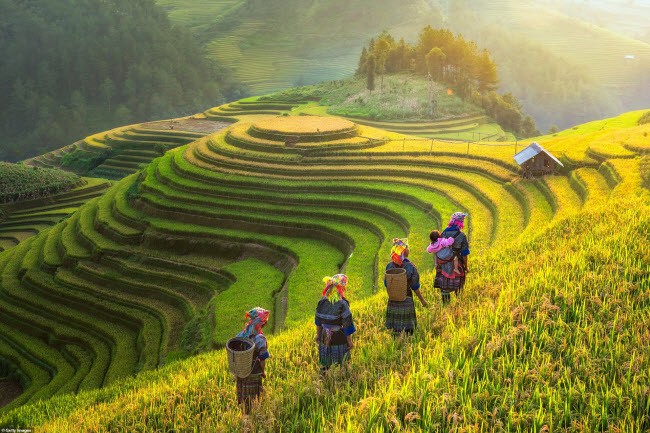 Hàng triệu người sững sờ sau khi báo Tây chia sẻ loạt ảnh Việt Nam đẹp mê hồn hình ảnh 5 hang trieu nguoi sung so sau khi bao tay chia se loat anh viet nam dep me hon hinh anh 5