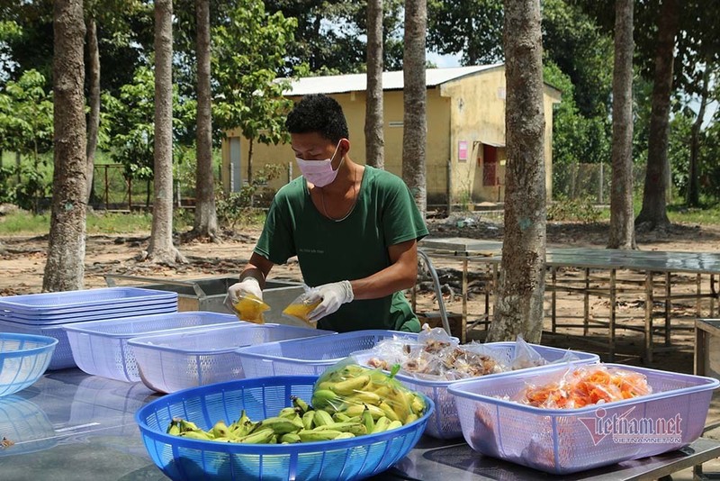 Nữ du học sinh Anh khen cơm bộ đội nấu trong khu cách ly