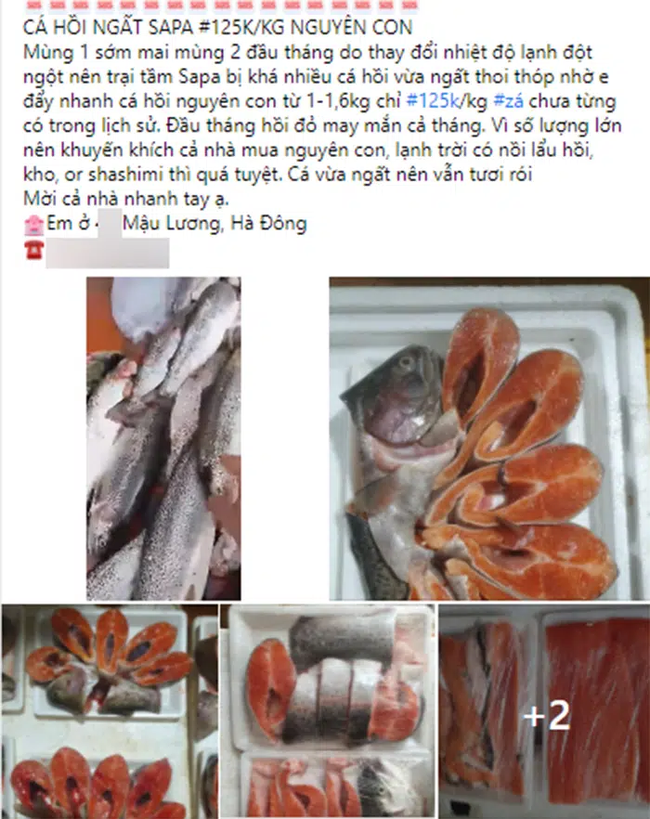 Đáng sợ gà Trung Quốc 20 nghìn/con, sâm Hàn Quốc 500 nghìn/kg