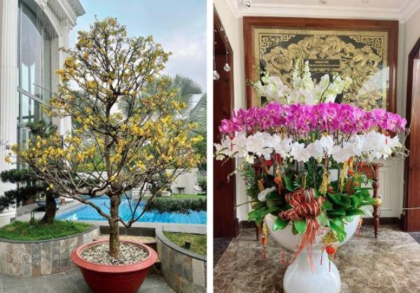 Bảo Thy trang trí lộng lẫy cho biệt thự. (Ảnh: FBNV) Bảo Thy trang trí lộng lẫy cho biệt thự. (Ảnh: FBNV)