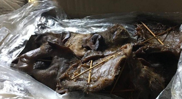 Một số nội tạng động vật đã bốc mùi hôi thối được phát hiện trong kho Một số nội tạng động vật đã bốc mùi hôi thối được phát hiện trong kho