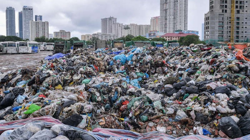 Ô nhiễm môi trường khiến môi trường sống bị đe dọa nghiêm trọng.