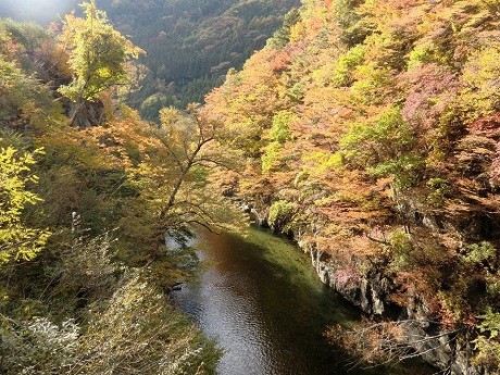 Nikko, Nhật Bản