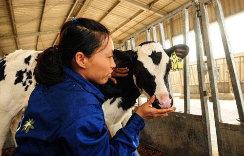Tập đoàn TH - Tiên phong organic vì sức khỏe cộng đồng hình ảnh 2 tap doan th - tien phong organic vi suc khoe cong dong hinh anh 2
