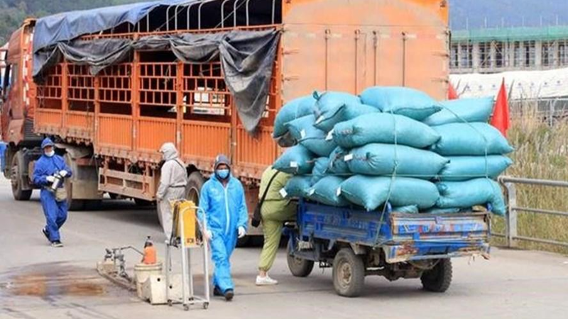Đảm bảo lưu thông hàng hóa trong điều kiện dịch COVID-19. Ảnh minh họa: moit.gov.vn