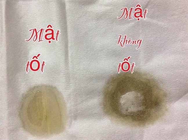 7 cach phan biet mat ong THAT – GIA de nhu tro ban tay