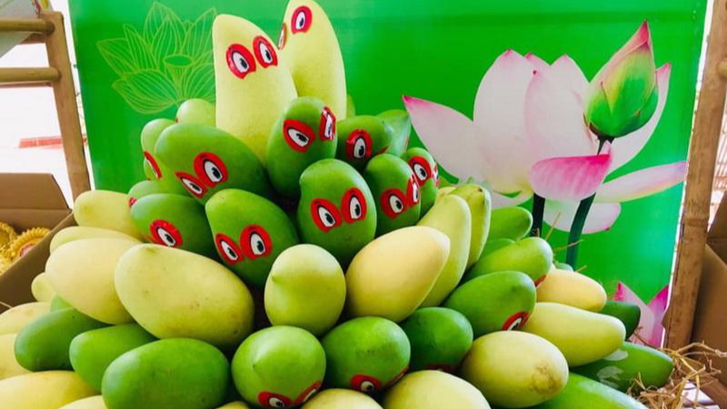 Xoài Đồng Tháp đã xuất khẩu sang Mỹ.
