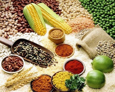 Kết quả hình ảnh cho bảo quản trứng cung đậu