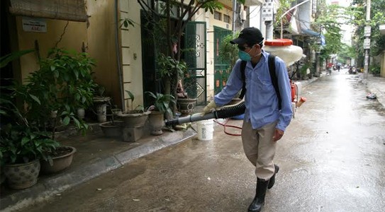 Kết quả hình ảnh cho đặc điểm muỗi zika