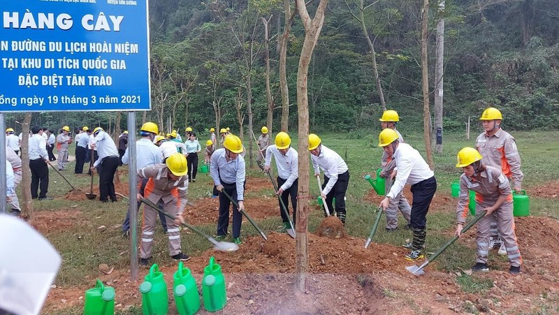 Tổng công ty Điện lực miền Bắc trồng cây trên “Con đường du lịch hoài niệm các di tích Quốc gia”