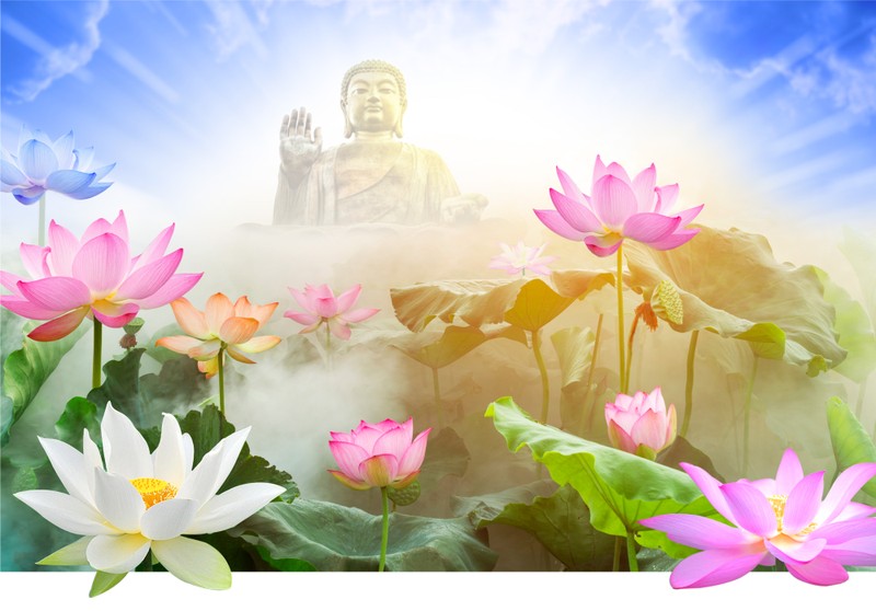 Ngẫm về “định luật vô thường” của đức Phật Thích Ca Mâu Ni ảnh 1