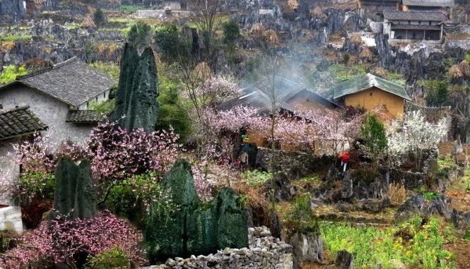 Tín ngưỡng thờ thần đá có ở nhiều vùng đồng bào dân tộc.