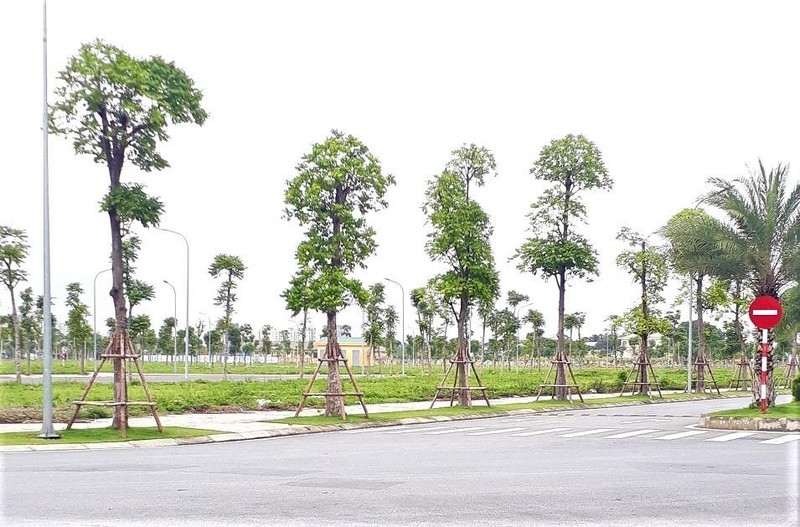 Đất nền đấu giá tại nhiều địa phương tạo sức hút lớn đối với các nhà đầu tư.